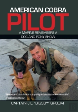 Bertrand.pt - American Cobra Pilot