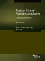 American Criminal Procedure, Adjudicative