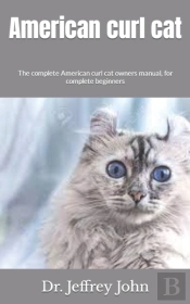 American Curl Cat