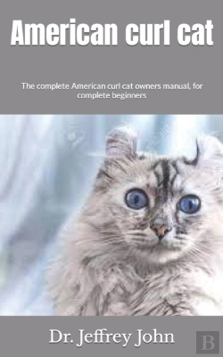 Bertrand.pt - American Curl Cat