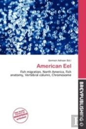 American Eel