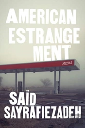 American Estrangement