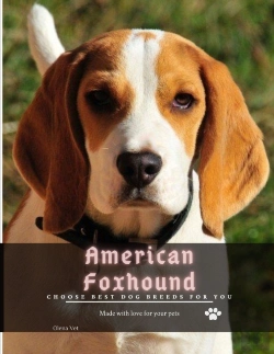 Bertrand.pt - American Foxhound
