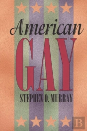 American Gay