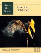 American Goldfinch