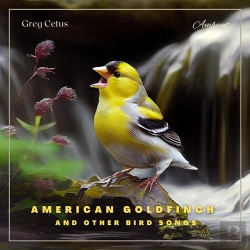 Bertrand.pt - American Goldfinch And Other Bird Songs