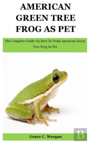 American Green Tree Frog As Pet