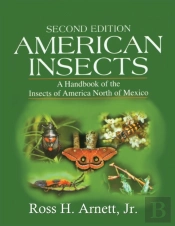 American Insects