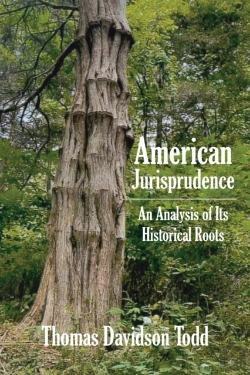 Bertrand.pt - American Jurisprudence: An Analysis Of I