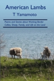 American Lambs: Poems And Stories About