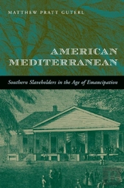 American Mediterranean