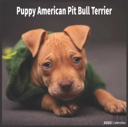 Bertrand.pt - American Pit Bull Puppy 2022 Calendar