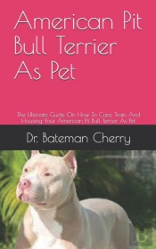American Pit Bull Terrier As Pet