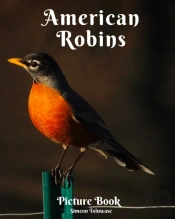 American Robins Picture Book