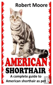 American Shorthair