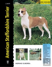 American Staffordshire Terrier