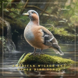 Bertrand.pt - American Wigeon And Other Bird Songs