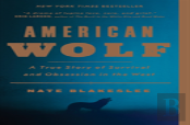 American Wolf