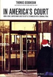 Americas Court How Civil Lawyer Who Hb