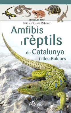 Bertrand.pt - Amfibis I Rèptils De Catalunya I Illes Balears