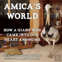 Bertrand.pt - Amica'S World