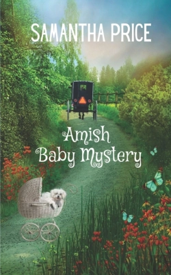 Bertrand.pt - Amish Baby Mystery
