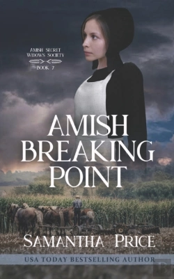 Bertrand.pt - Amish Breaking Point