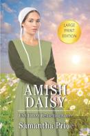 Amish Daisy Large Print