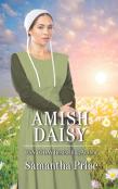 Amish Daisy
