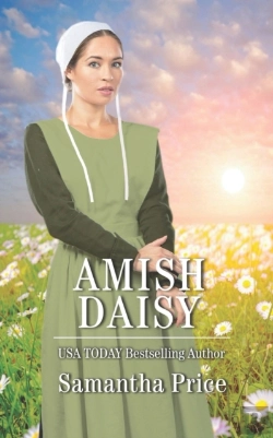 Bertrand.pt - Amish Daisy