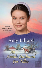 Amish Husband For Tillie