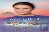 Amish Husband For Tillie