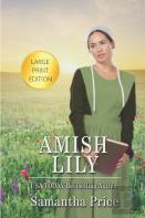 Amish Lily Large Print
