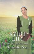 Amish Lily