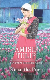 Amish Tulip