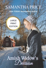 Amish Widow'S Decision Large Print