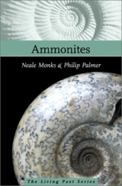 Ammonites