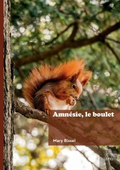 Amnésie, Le Boulet