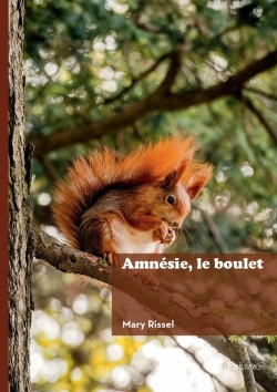 Bertrand.pt - Amnésie, Le Boulet