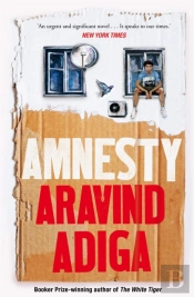 Amnesty