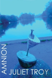 Amnion