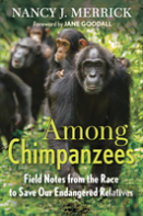 Among Chimpanzees