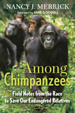 Bertrand.pt - Among Chimpanzees
