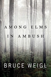 Among Elms, In Ambush