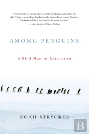 Among Penguins