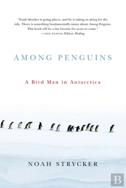 Bertrand.pt - Among Penguins