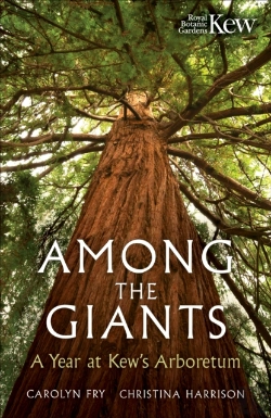 Bertrand.pt - Among The Giants