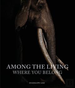 Among The Living