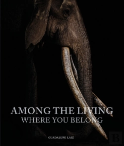 Bertrand.pt - Among The Living