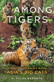 Among Tigers